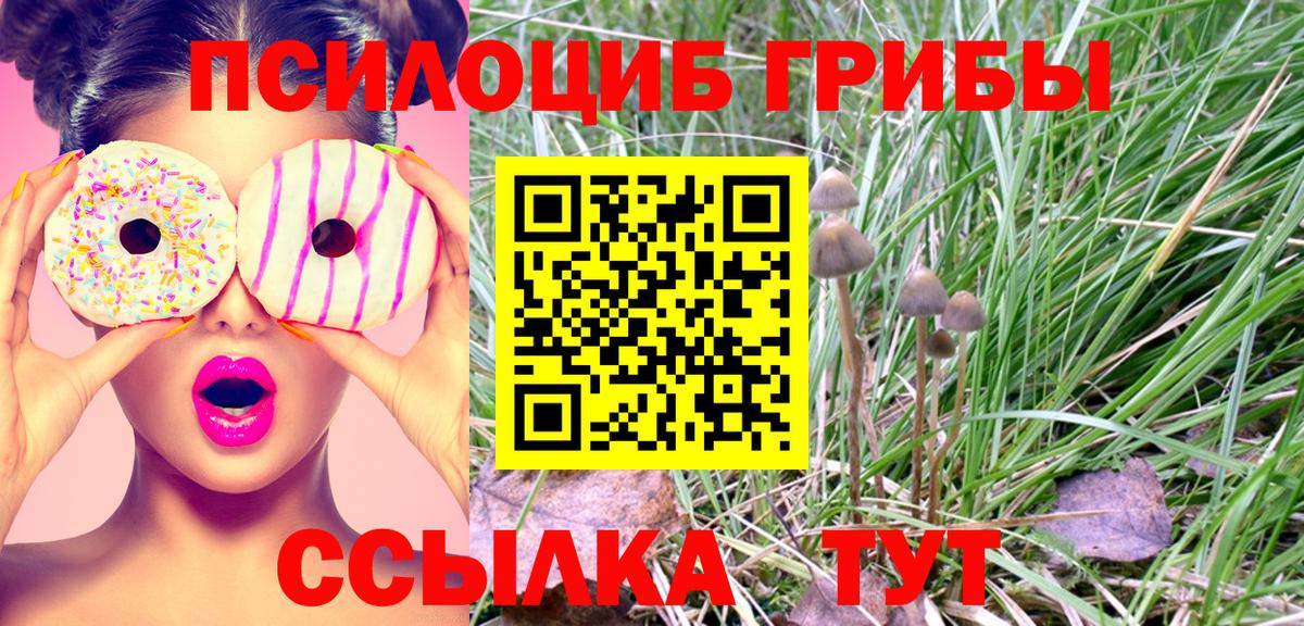 Галлюциногенные грибы Psilocybine cubensis Малоярославец